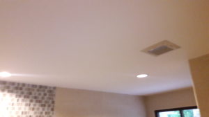 master bathroom ceiling - great plaster work!